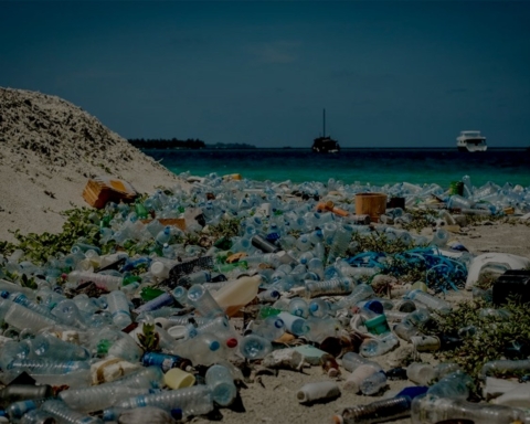 Plastique Pollution