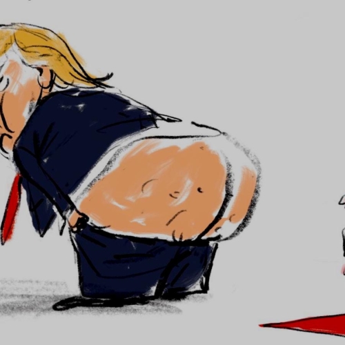 Diplomatie Dessin Trump - © DR