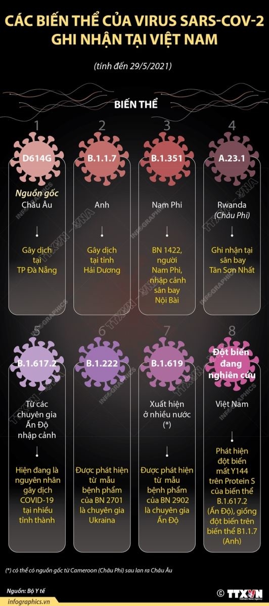 Infographie : Les variants du coronavirus présents au Viet Nam. Source © TTXVN / VietNam News Agency.