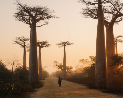Madagascar Photo © Yasmine Arfaoui via Unsplash