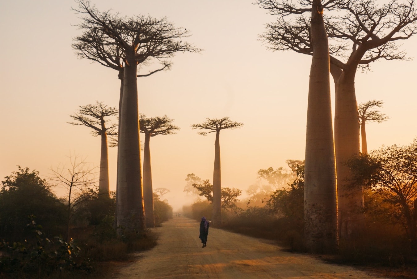 Madagascar Photo © Yasmine Arfaoui via Unsplash